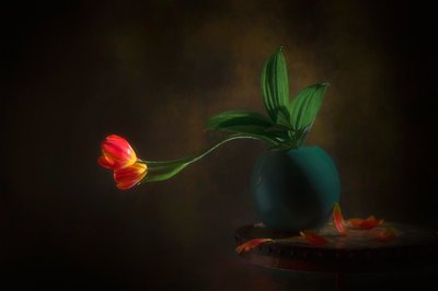Naturaleza muerta con tulipanes elegantes de Lydia Jacobs