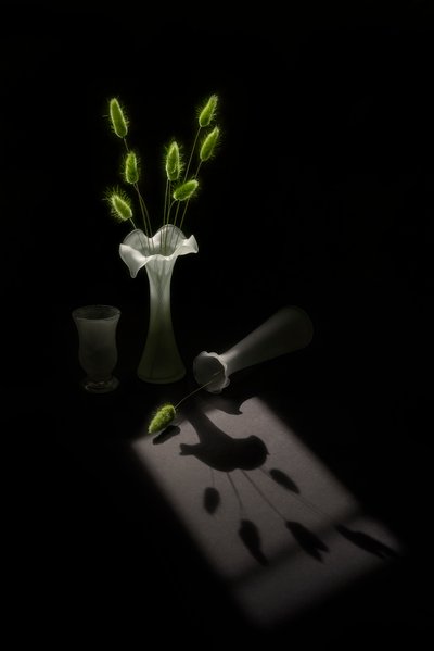  de Lydia Jacobs
