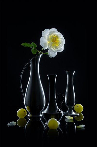 de Lydia Jacobs