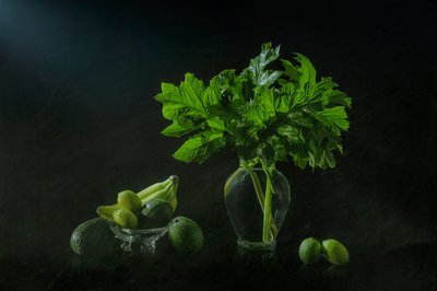 Naturaleza muerta botánica exuberante de Lydia Jacobs