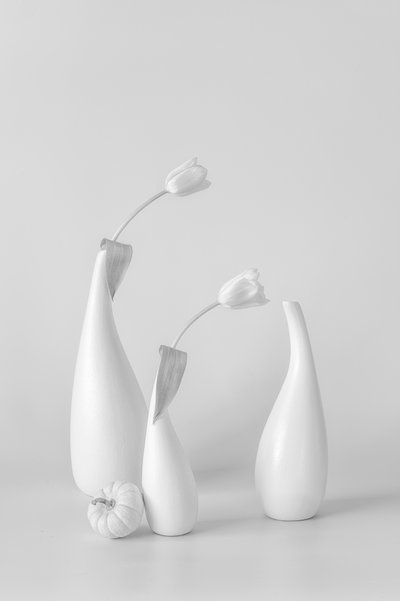 Tulipanes blancos minimalistas de Lydia Jacobs