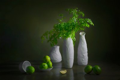 Naturaleza muerta moderna con limas de Lydia Jacobs