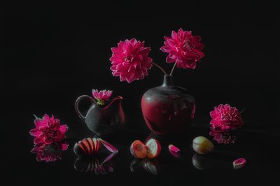 Dalias y ciruelas melancólicas de Lydia Jacobs