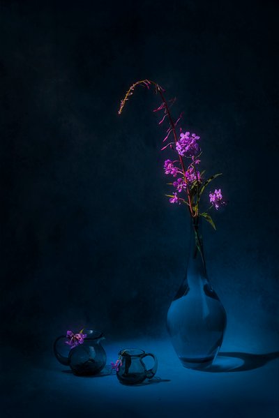 Naturaleza muerta con espiga de fuego de Moody de Lydia Jacobs