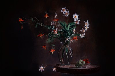 de Lydia Jacobs