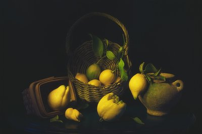 Naturaleza muerta con limón melancólico de Lydia Jacobs