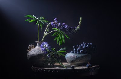 Lupinos y bayas melancólicos de Lydia Jacobs