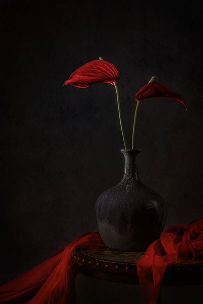  de Lydia Jacobs