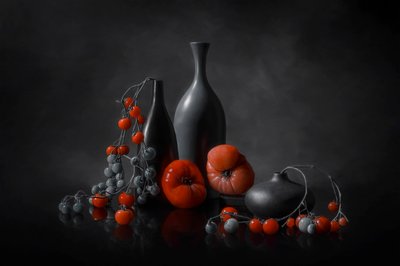  de Lydia Jacobs