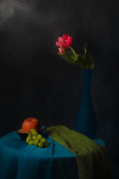 Naturaleza muerta con tulipanes melancólicos de Lydia Jacobs