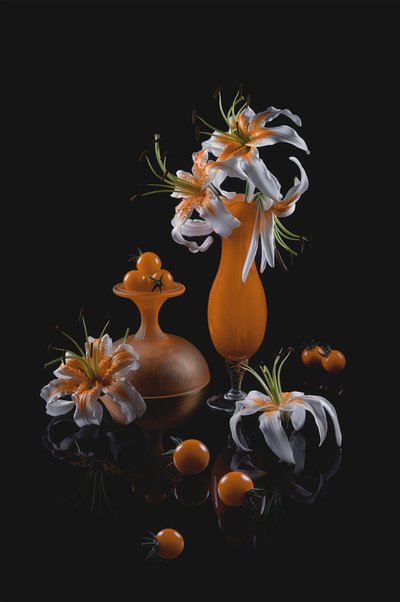  de Lydia Jacobs