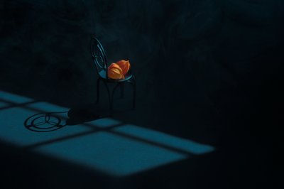 Naturaleza muerta con vainas de naranja de Lydia Jacobs