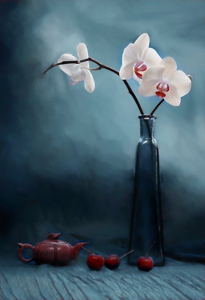  de Lydia Jacobs