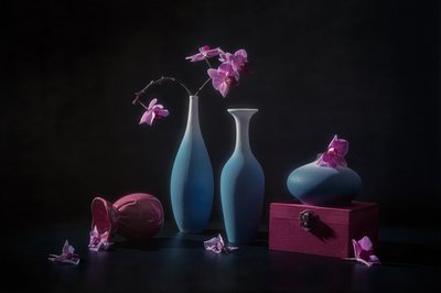 Orquídeas rosas y jarrones de Lydia Jacobs