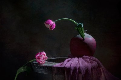 Naturaleza muerta con tulipanes rosas de Lydia Jacobs