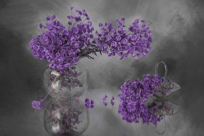 Reflejo de flores moradas de Lydia Jacobs