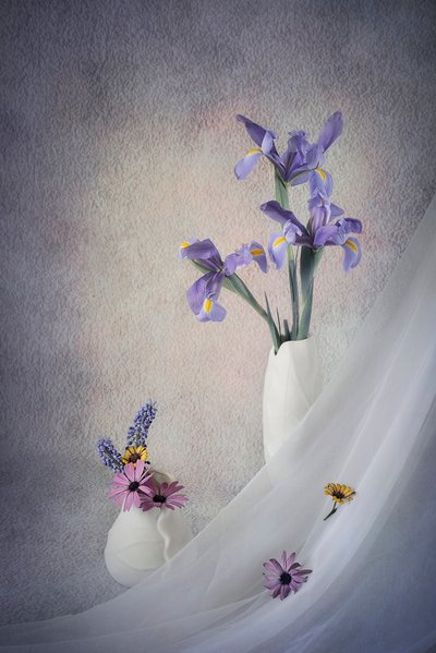  de Lydia Jacobs