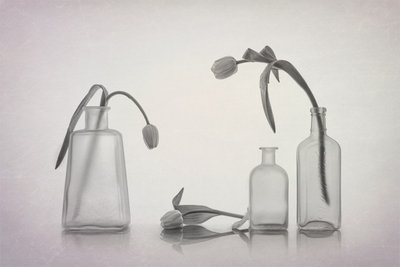  de Lydia Jacobs