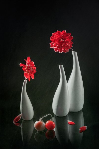 Dalias rojas y jarrones de Lydia Jacobs