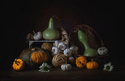  de Lydia Jacobs