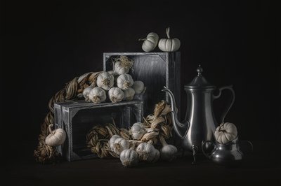  de Lydia Jacobs