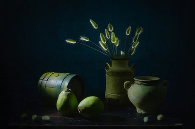  de Lydia Jacobs