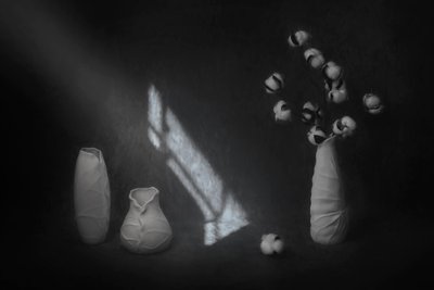  de Lydia Jacobs