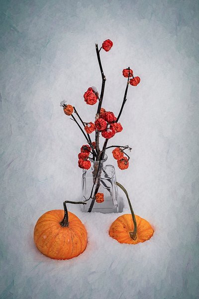 Naturaleza muerta de la cosecha nevada de Lydia Jacobs