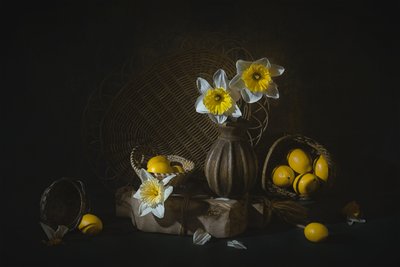 Narcisos de primavera y limones de Lydia Jacobs