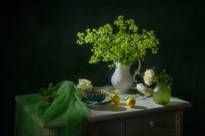  de Lydia Jacobs