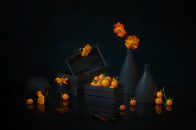  de Lydia Jacobs