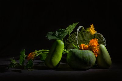  de Lydia Jacobs