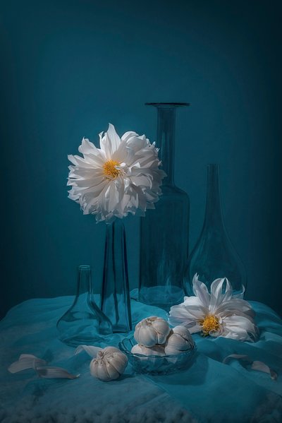 Naturaleza muerta con dalia blanca de Lydia Jacobs