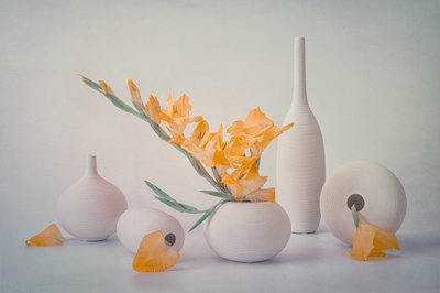 Flores amarillas en jarrones blancos de Lydia Jacobs