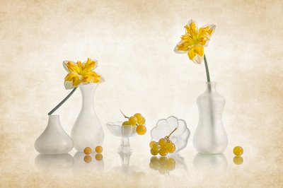 Narcisos amarillos y uvas de Lydia Jacobs