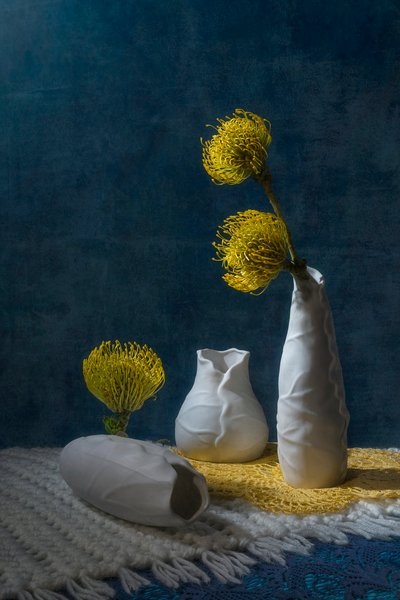 Naturaleza muerta con protea amarilla de Lydia Jacobs
