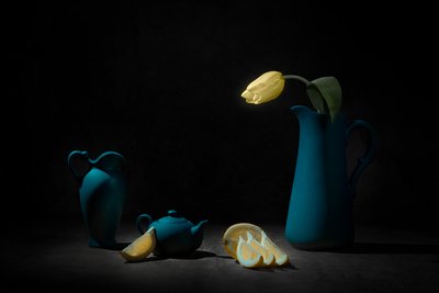 Tulipán amarillo. Naturaleza muerta azul de Lydia Jacobs