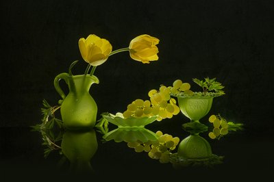 Tulipanes amarillos y uvas verdes de Lydia Jacobs