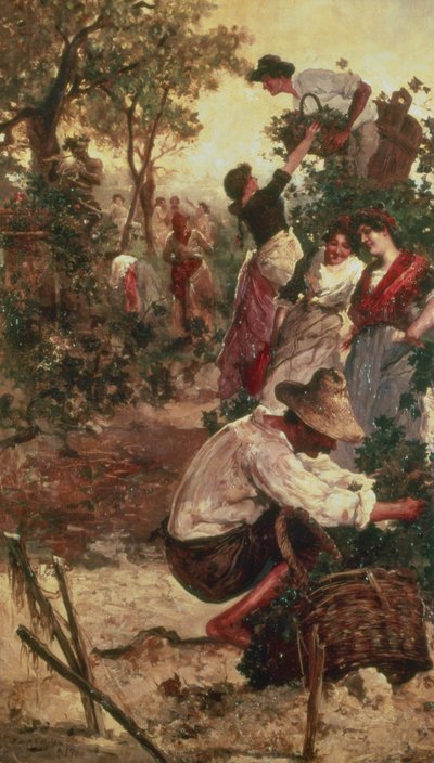 La vendimia de M.F. Moles
