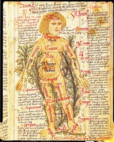 Influencia de las estrellas en las enfermedades del cuerpo humano, de Tractatus de Pestilencia de M, Albik