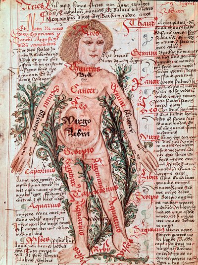 Medicina: influencia del zodiaco en las enfermedades humanas (Miniatura) de M Albik