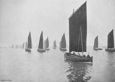 Barcos de arenque frente al Tyne, c. 1896 de M. Aunty