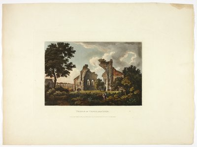 Templo de Venus y Cupido, placa doce de las Ruinas de Roma de M. Dubourg