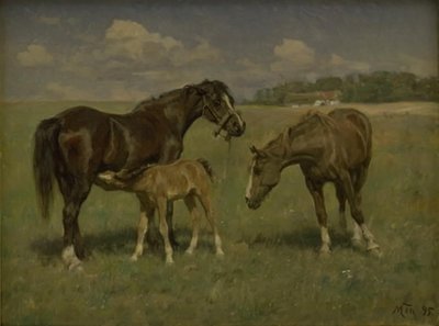 Tres caballos en un campo de M. Therkildsen