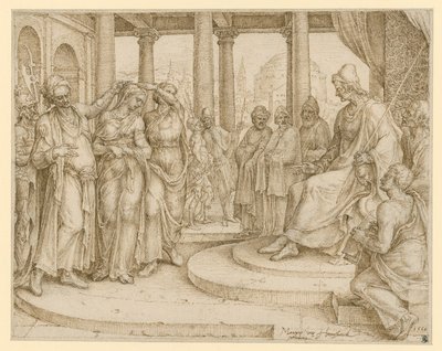  de Maarten van Heemskerck