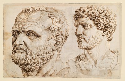 Dos cabezas de estatuas antiguas de Maarten van Heemskerck