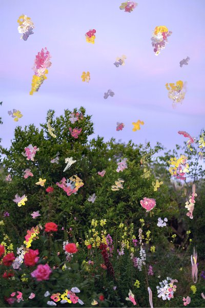 Flores abstraídas, 2019 (pintura acrílica sobre impresión de pigmento de archivo) de Madeleine Gross