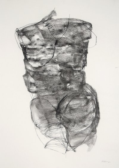 Torso 4, 2022 (carboncillo sobre papel) de Madgalena Morey