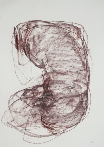 Torso 5, 2022 (carboncillo sobre papel) de Madgalena Morey