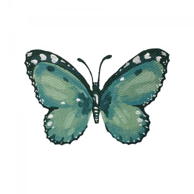 Elegante mariposa verde azulada de Madison Phipps
